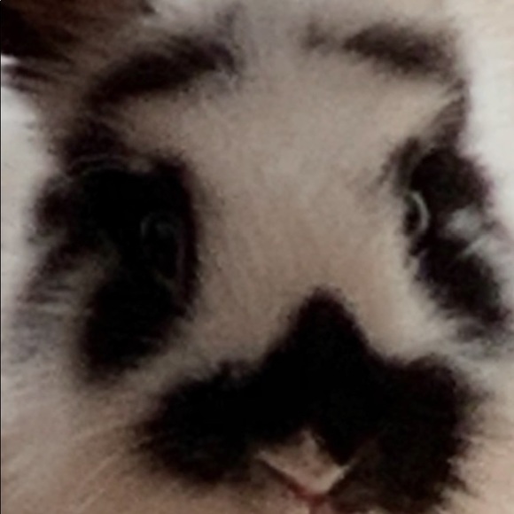 Meet your Posher, Kyle - Picture 1 of 1